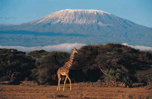 Kilimanjaro